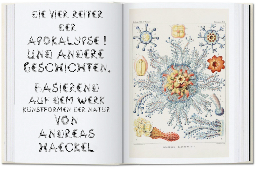 Die VIER REITER DER APOKALYPSE !